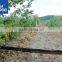 Plastic Drip Tape / Drip Tubes for Water Irrigation
