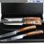 4.5 Inch Steak Knife Japanese VG-10 67 Layers Damascus Premium Steak Knife (4 Sets)