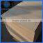 Factory Price White Paulownia Wood Board Lumber