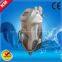 Aesthetic 3in1 E-light&RF&IPL beuty device(CE approved)