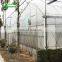 Low Price Plastic Film Greenhouse Equipment with high quality