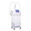 Top Sales Ems Weight Loss Fat Burn Body Slimming 2 Handles Machine On Promotion