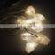 2020 New Design Outdoor Battery Led Salt String Light