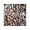 wholesale chinese famous brand qiaqia roasted sunflower seeds sunflower kernel seeds sunflower