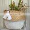 Woven Seagrass Straw Wicker Belly Basket with Tassel, Laundry Storage Organiser, Modern Planter Wholesale