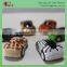 Small plastic animal pull back toy car capsule toy                        
                                                Quality Choice