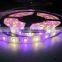 5050 RGBW led strip Led strip in ip66 and DC 12 V