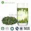 2016 Chinese new premium weight loss green tea