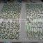 alphabet letter stickers