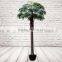 Fake Decorative Fan Palm