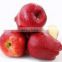 Fresh Apple huaniu for hot sale