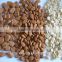 Chinese Blanched Apricot Kernels Flakes-Guangzhong type for Sales