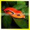 5.5CM Soft Frog Fishing Lure with Hooks