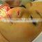 2013Newest BIO&Photon Therapy Instrument Skin Care Machine