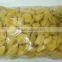 HQ IQF Frozen Jackfruit flesh seedless from Thailand [ Frozen Jackfruit ]