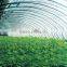 JIASIDA polycarbonate lean-to greenhouse,lean-to polycarbonate greenhouse,PC greenhouse sheet