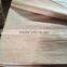 0.3mm natural plb veneer for sale of 4*8ft A B C D GRADE