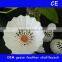 Equal to rsl supreme most durable super grade goose feather badminton shuttlecock