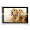 Hot 26 inch HD video input digital signage loop video advertising display for bus hotel elevator advertising