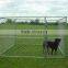 chain link fence dog kennel /dog cage
