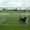 High quality new design galvanized outdoor chain link dog kennel large dog fence