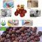 Frozen roasted inshelled chestnut for sale
