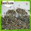 sunflower seed ton price Chinese