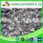 Cut Frozen oyster mushroom pleurotus ostreatus