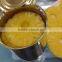 Vietnamese pineapples canned from Ban Mai co.,ltd