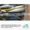 Frozen pacific mackerel fish on sale