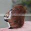 Modern stylish talking squirrel toys