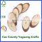 craft wood slices oval shaped wooden slices with drilling hole