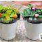 Cheap Plastic Garden Self Watering Flower Pot
