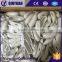 Plastic Bobbin Shuttle, Schiffli Embroidery Machine Shuttle With Lowest Price