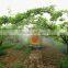 trailer type vineyard use farm garden fruit tree orchard boom tank air blast sprayer with high press diaphragm pump