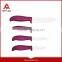 Super Lux swiss 5pcs kithen knife set with non-stick coating