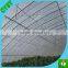 young seeds germination house used covering film material / greenhouse cover film