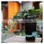 2016 hotsale large plastic garden planters and pots with self watering system