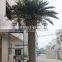 GNW APM013-1 GNW Artificial Palm Tree Plants Outdoor Garden Park Decoration