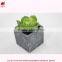 Artificial min bonsai potted wholesales artificial mini plant.Chinese factory