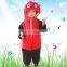 Kids Ladybug Costumes / Ladybird Costumes