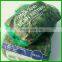 Agriculture plastic climbing plant support trellis  net