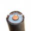 High Voltage Single Core 300Mm2 400Mm2 500Mm2 Xlpe Insulated Unarmor Copper Power Cable