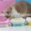 Amazon Hot Sell Eco-friendly ABS Pet Feeder Dogs Cats Water Bowl Disposer Neck Protection