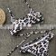 2019 Women Sexy Leopard Thong Bikini Push Up Beachwear Padded High Waist Swimsuit Swimwear Women Biquini