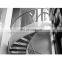Glass manufacturer high quality custom elevator tempered curved clear glass
