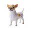 Hottest Farm Animal From Factory OEM/ODM PVC Plastic Toys Chihuahua Toy Animal Toy Hand Painted