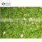 Sinocharm A Grade approved IQF Frozen Green Chilli Ring