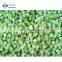 Sinocharm High Quality Hot Selling BRC A Approved IQF Peeled Kiwi Cubes Frozen Diced Kiwi