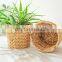 Mini Water Hyacinth Basket for Potted Plant, Wicker Plant Holder, Woven Plant Basket Wholesale in Bulk